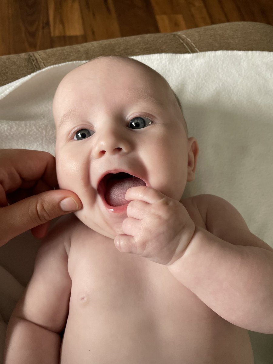 tracyrichelle's tweet photo. I did the damn thing with this one ✨ Everly Jane Addis is 5 months old and getting more adorable by the second. https://t.co/MVoJrrAHeV