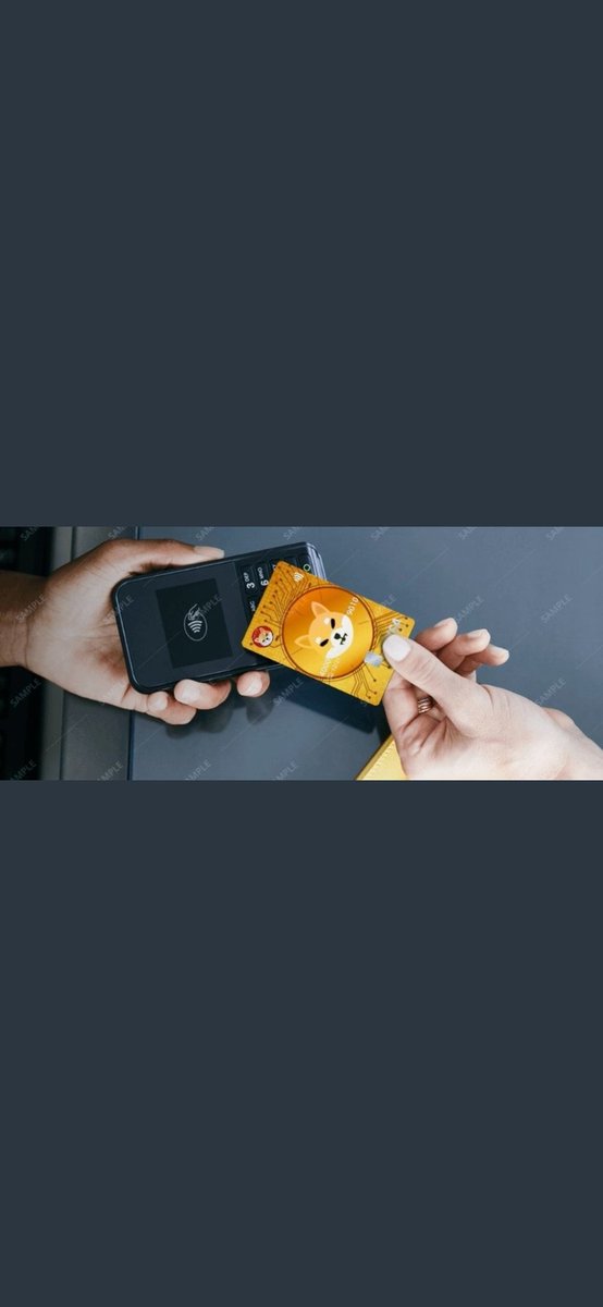 # SHIBA INU (@inupoland) on Twitter photo 