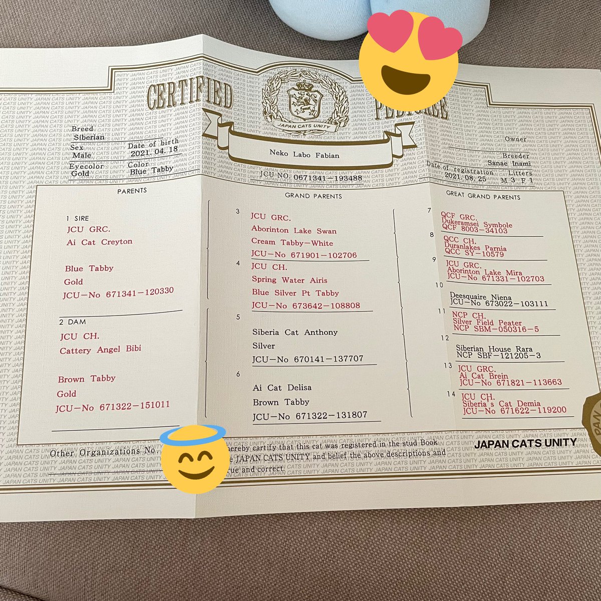 サイベリアンのミルクちゃん うちのミルクちゃん の血統書が届いた それで名前が Fabian ファビアン って事が判明 なんだか優雅w そしてチャンピオンの猫さん多くてびっくり 母猫さんや兄弟猫ちゃんと繋がりたいから公開 サイベリアン 猫 サイベリアンのミルクちゃん うちのミルクちゃん の血統書が届いた それで名前が Fabian ファビアン って事が判明 なんだか優雅w そしてチャンピオンの猫さん多くてびっくり 母猫さんや兄弟猫ちゃんと繋がりたいから公開 サイベリアン 猫