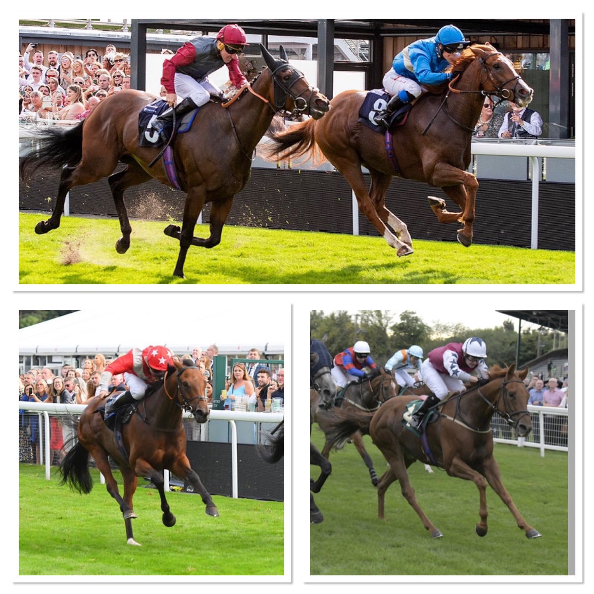 PB_jockeyagent's tweet photo. Good day today, Chester double as @FMcmanoman and @johnegan1968 win at Chester, winner 6 (33% SR)at Chester this season for John, and Alex Jary wins the finale at Ripon. @ChesterRaces @RiponRaces #winners https://t.co/YVO93BRP7C