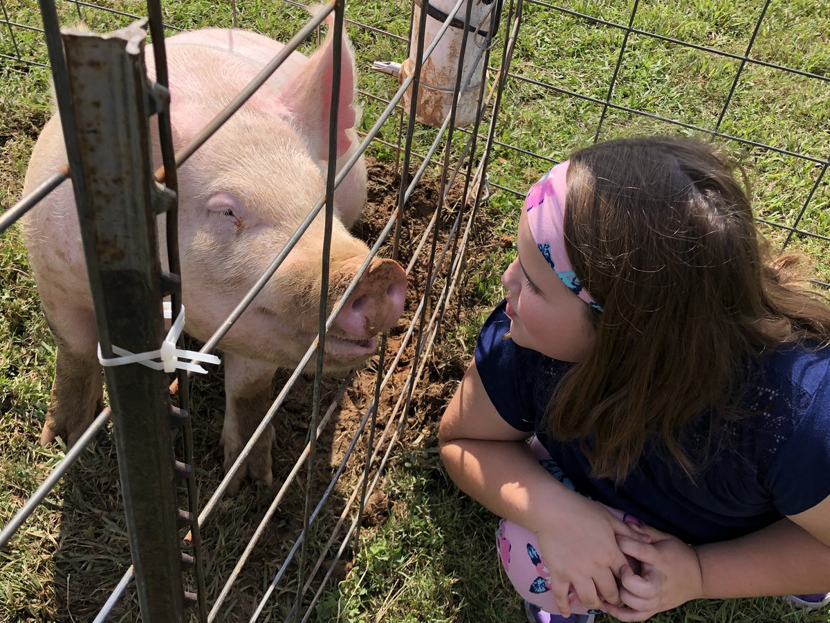 SWalker_PHS's tweet photo. The family had so much fun this morning at our Hay Day! Great job by the PHS FFA crew.  Now on to celebrate Amanda’s birthday.  No telling what’s coming with all the damage she did at the Hay Day booths. https://t.co/jYVqJswlk5