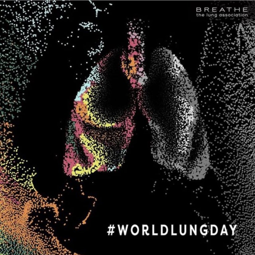 AlbertaLung's tweet photo. #WorldLungDay  it’s so important to protect &amp; care for your lungs.  🫁 https://t.co/eibzFFio1m