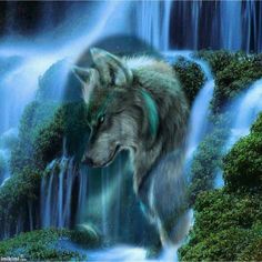 ensor_sammy tweet picture
