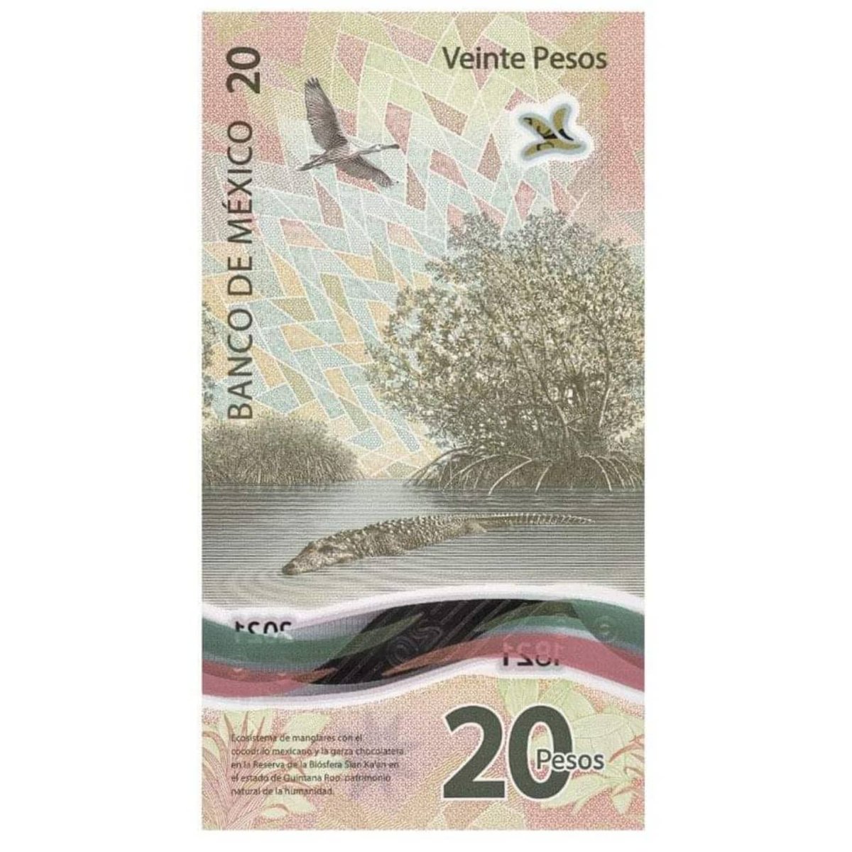 ComMexManglares's tweet photo. El Comité Mexicano de Manglares celebra la emisión del nuevo billete de 20 pesos del Banco de México. Nuestro reconocimiento a las personas involucradas en su diseño y la divulgación de los manglares y del cocodrilo mexicano. Enhorabuena!!
#Conabio #SEMARNAT https://t.co/XzYIPpkQVC