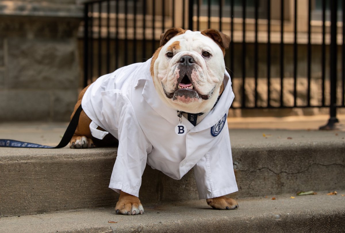 TheButlerBlue's tweet photo. A very big happy #WorldPharmacistDay to all of our wonderful COPHS students and Bulldog pharmacists everywhere! #ThankYouPharmacists, y’all the real MVPS. https://t.co/41LrHpPShI