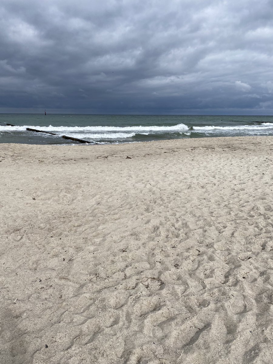 Took my kids and cleaned the whole beach. Teach our children to save the nature is such an important lesson join our community #beachtoken soon BSC token #beach_token #dogoodwitheverttransaction #beach_community $BEACH