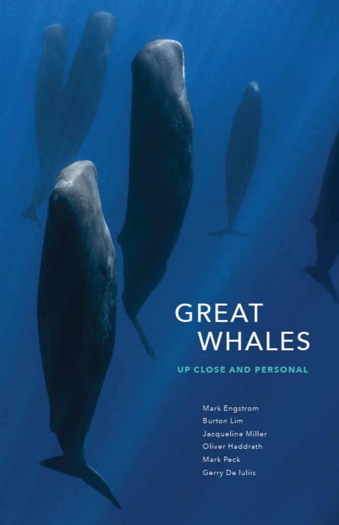 Hot off the press! The companion guide book that goes with the <a href="/ROMtoronto/">Royal Ontario Museum</a> exhibition on #ROMGreatWhales    Remember to get your copy when visiting -  rom.on.ca/en/exhibitions…