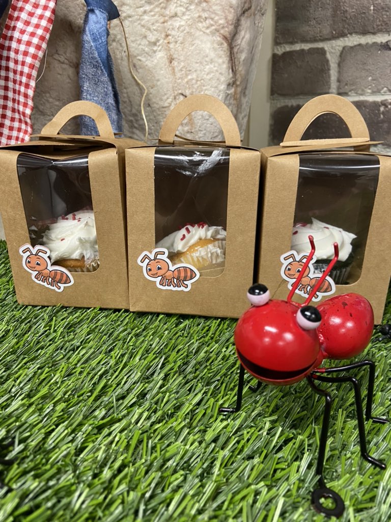 Cynthia Foster tweet media