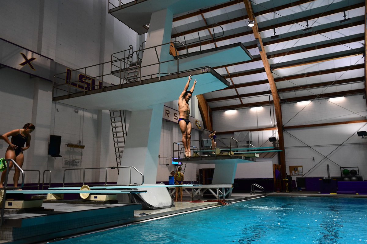 LSUSwimDive's tweet photo. Good to be back 🤩 https://t.co/oe1UKHc9zX
