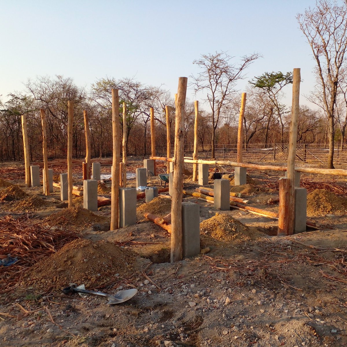 Farming Couple 🇿🇼 tweet media