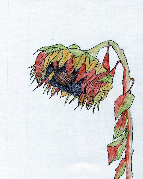 色鉛筆イラストのtwitterイラスト検索結果 色鉛筆イラストのtwitterイラスト検索結果