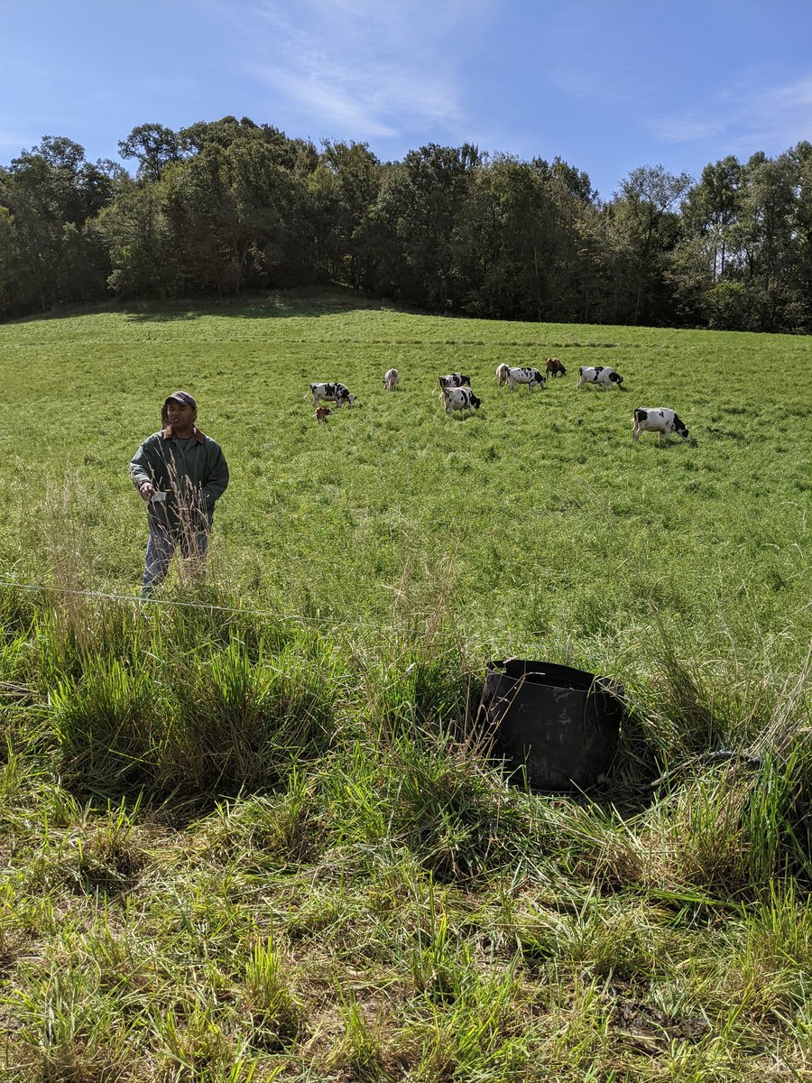 Grassland2_0's tweet photo. "Rotational #grazing is gaining a lot of traction here in Sauk County" says Serge Koenig of Sauk County Land #Conservation #FermentationFest https://t.co/rHeEl2PJUj