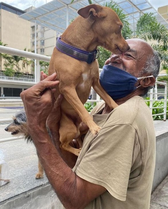 quierounperrove's tweet photo. 🆘 #CARACAS #URGENTE (LOS PALOS GRANDES) Para RON el perrito del sr Joel necesitamos URGENTE un expectorante de adulto (cualquiera). Quien tenga alguno por favor acercarse HOY al mercadito de Los Palos Grandes y entregárselo 🙏🏻

Contacto 04242497513 https://t.co/HdhjRb8BqY