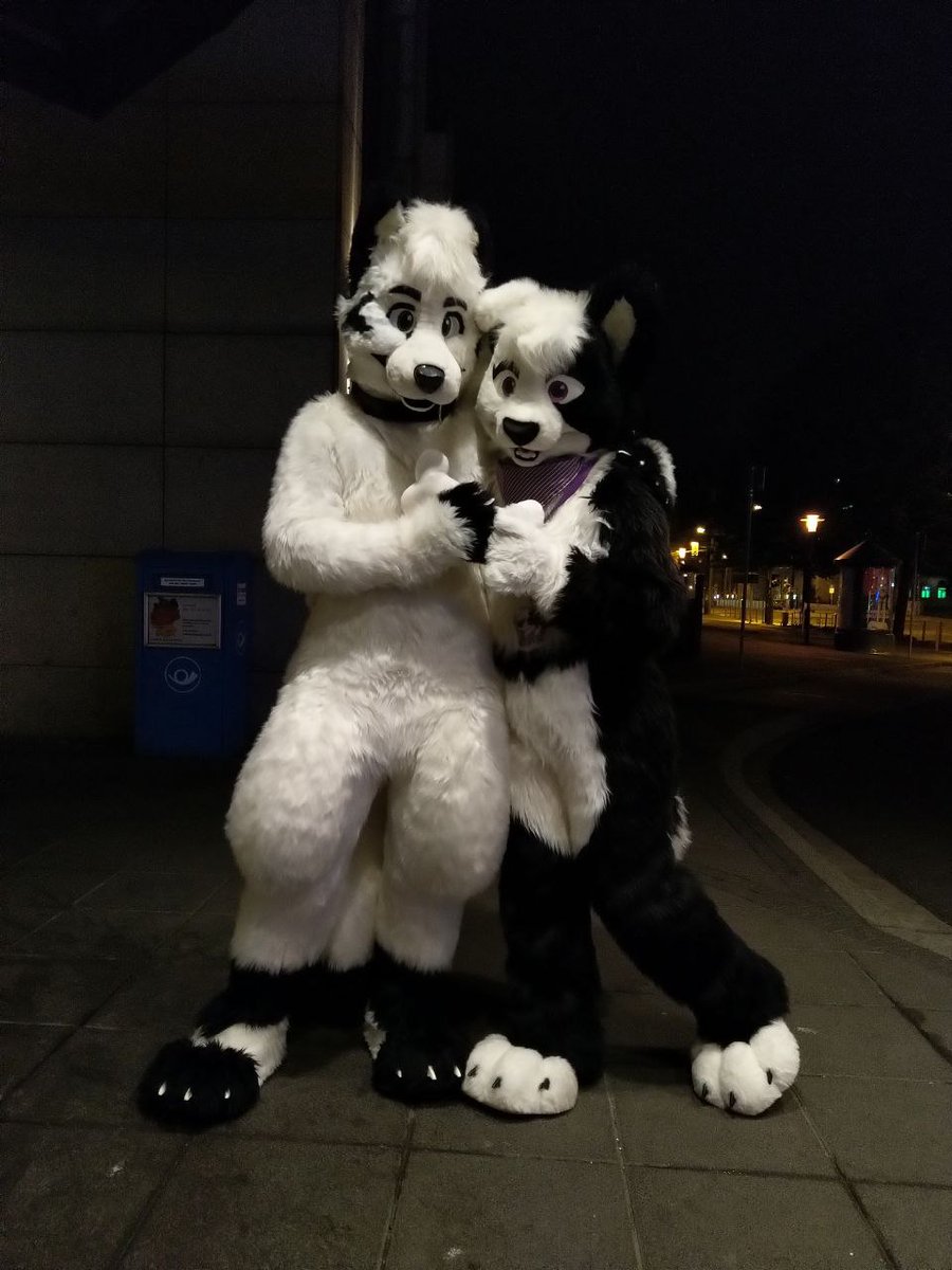 Just two dogs being cute and sharing a bone 🐶❤️🐶

/w <a href="/ChiiCuteCollie/">Chii</a>
📸 <a href="/AmurUssuri/">AmurUssuri</a>
