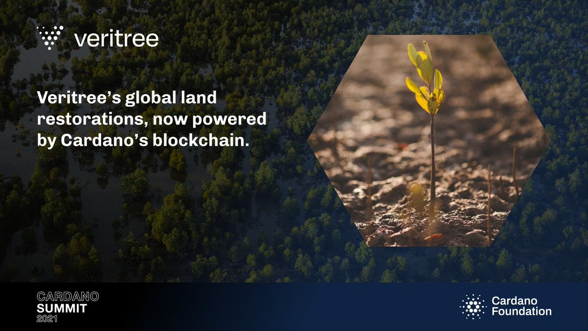Cardano_CF's tweet photo. 📣Partnership Announcement🎉
Thrilled to announce that we've partnered with Veritree to register all of its global land restoration efforts on the #Cardano #blockchain ➡improved transparency ➡immutability ➡auditability ➡easier protecting &amp; tracking🌲💚
https://t.co/mPUoOUYYEU https://t.co/ta3ljUcHa3