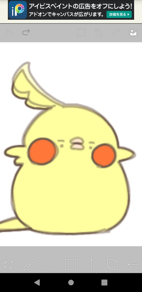 偶然新しい顔ができた....