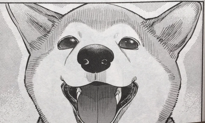 has there ever been a dog so lovingly rendered as kotetsu in gokushufudou 