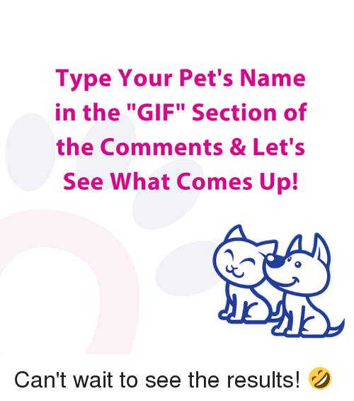 AnimalClinicTopeka (@topeka_ac) on Twitter photo 