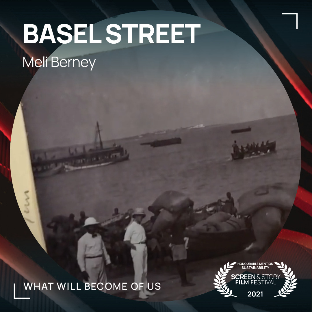 Screen and Story Film Festival tweet media