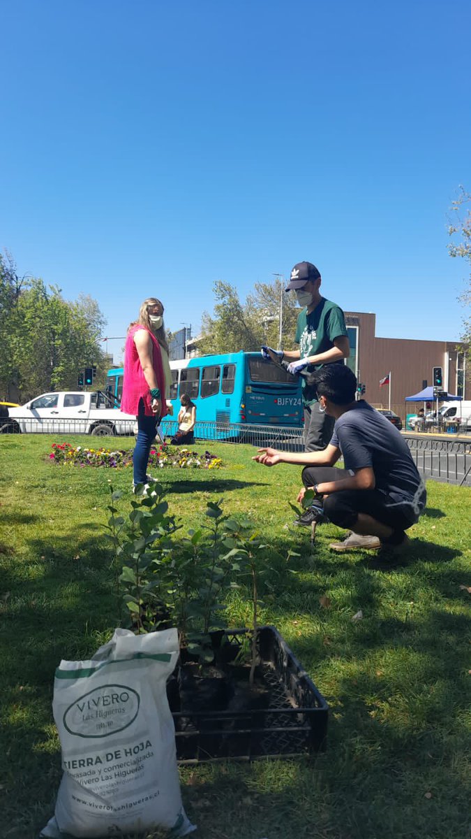 itsnow_org's tweet image. Ciudadanos sumaron plantación de árboles nativos y huertos comunitarios en espacios públicos a la Huelga Global por El Clima. Símbolos de resistencia y acción para exigir accion a gobiernos y autoridades del mundo

#ClimateStrike 
#UprootTheSystem 
#DesenraizaElSistema
#Itsnow