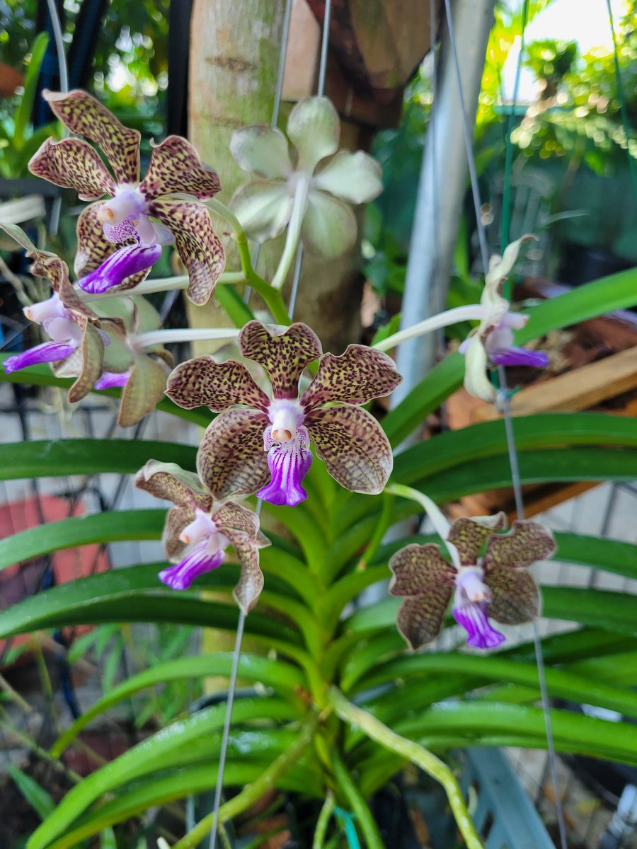 Margot R tweet media