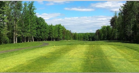 rndmruminations's tweet photo. I would like to thank the fine folks at $CEI, $ILUS, and $NSAV for sponsoring golf this morning with my 4 year old son.

We were both terrible, but thanks nonetheless.

#doitforcolin
#hitithard
#tradeitdontdateit
@StockyPenny is god https://t.co/SIttPBVfHt