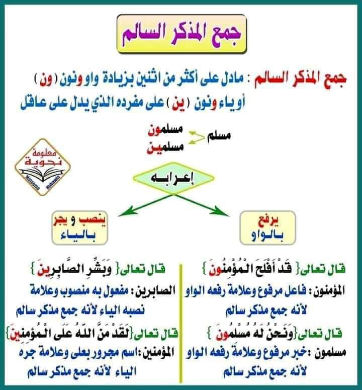 جمع المذكر السالم