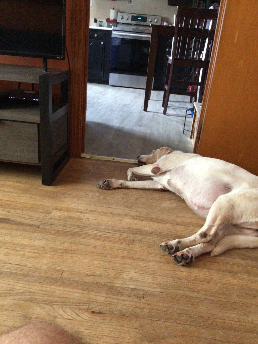 A long day for the pack