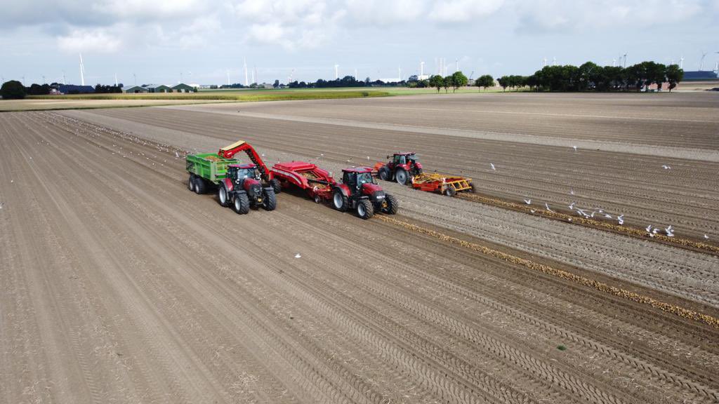 Hilde Coolman tweet media