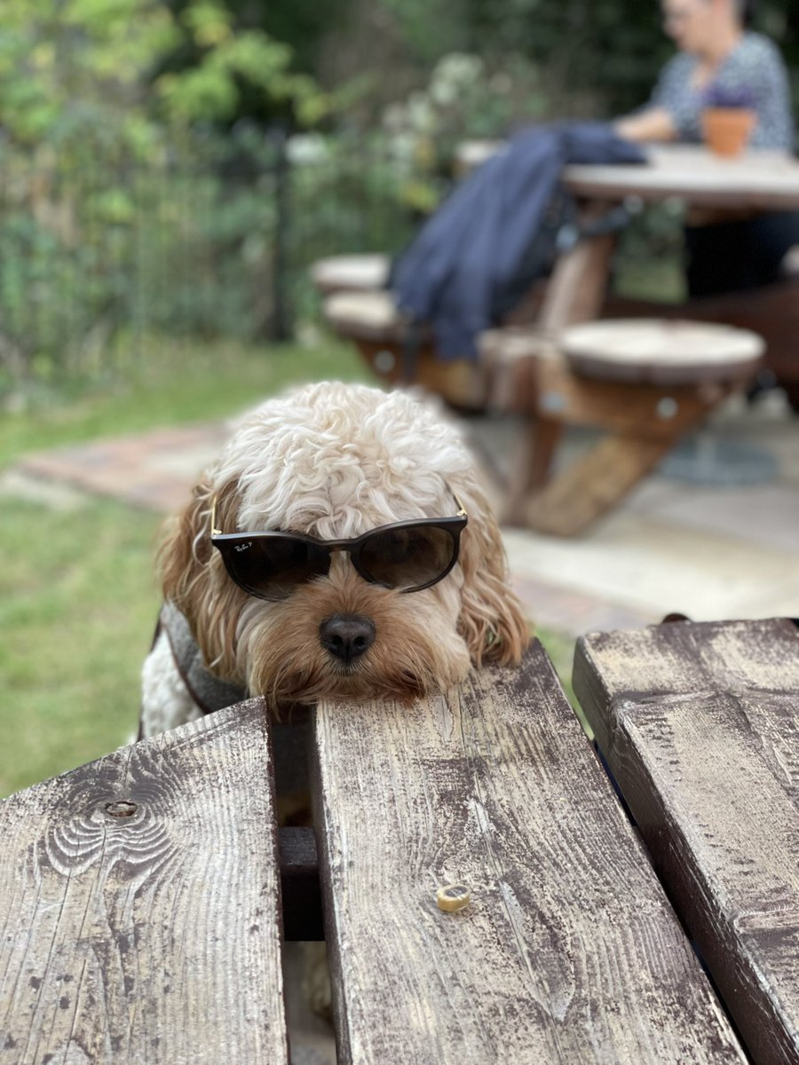 Lee Baker tweet media