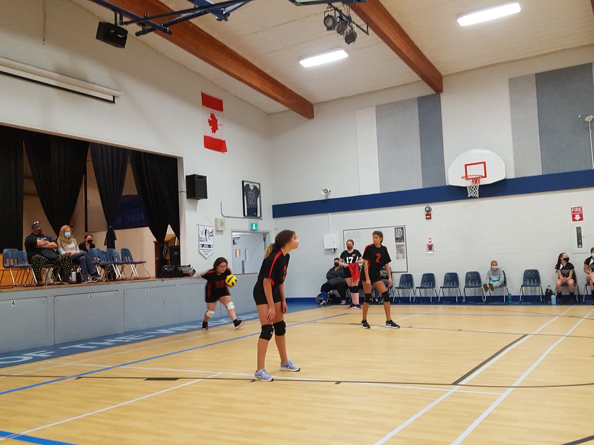 Michael Hoult tweet media