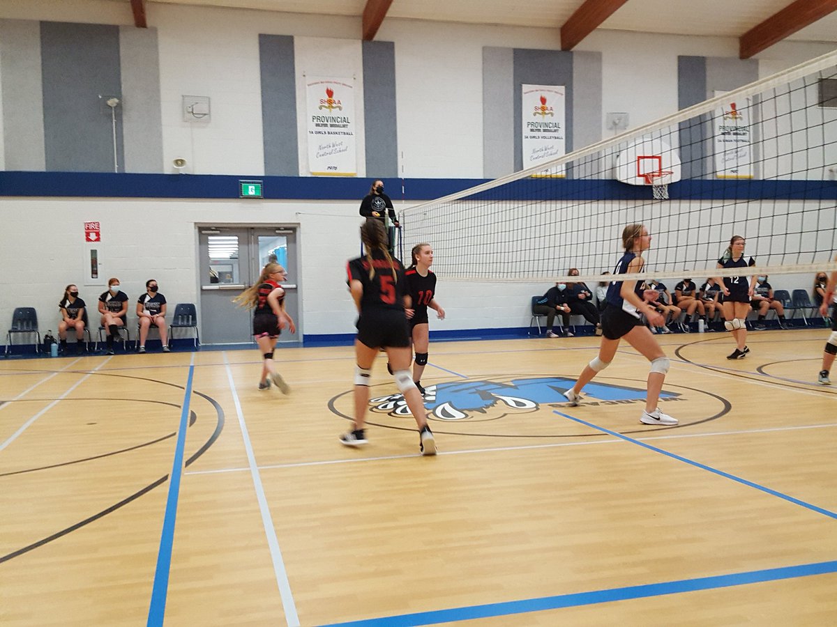 Michael Hoult tweet media