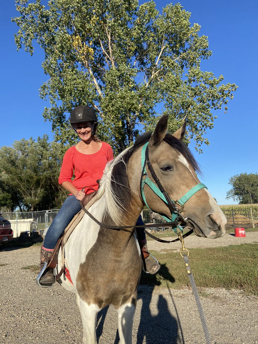 ThatPinto's tweet image. Mom on large dog