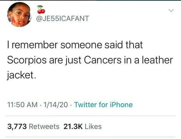 ScorpioSeason's tweet photo. cancers are just scorpios without the leather jacket 🤯 https://t.co/w9C8nRyCMf