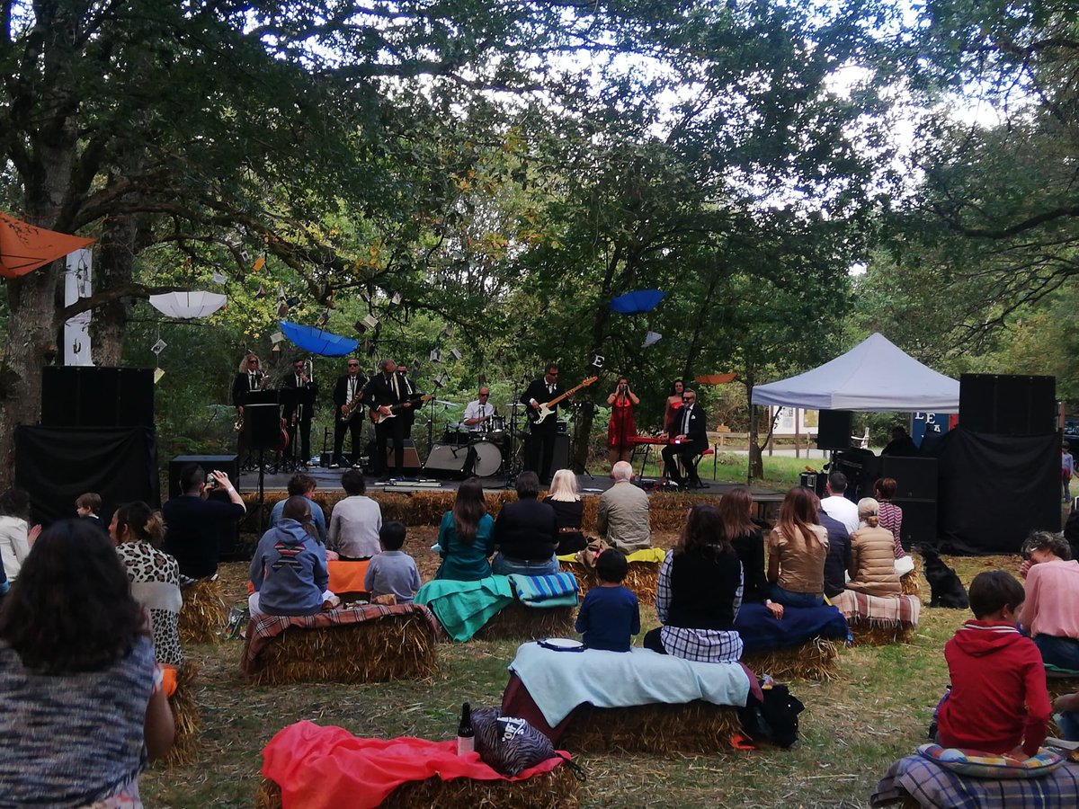 De Luxe, Gregario, en el Bosque de Orgi 😉 <a href="/GREGARIODELUXE/">Gregario de Luxe</a>
#cultura #navarra