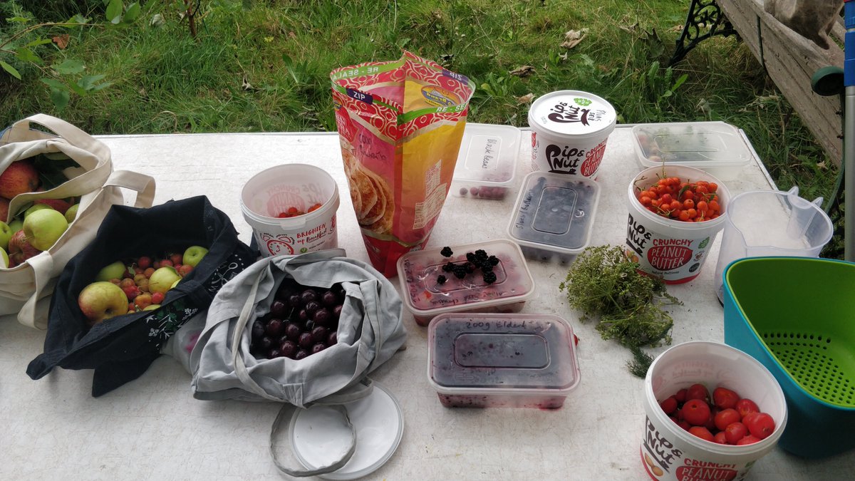 ClareQualmann's tweet photo. Walked, foraged, & made jam 🙂 what a brilliant day at #ClockhouseCommunityCentre.... Part of #Hydracity @InspiralLondon 's programme of walls and exhibition (which closes tomorrow!) In Woolwich SE18 https://t.co/EyGkjhWVc3