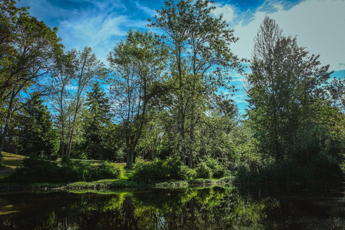 We're fortunate to live somewhere with many opportunities to experience the great outdoors.

On #NationalPublicLandsDay, we thank @KCDNRP, and our partners and volunteers, for protecting King County's 205 parks, 175 miles of regional trails, and 32,000 acres of open space.

#NPLD