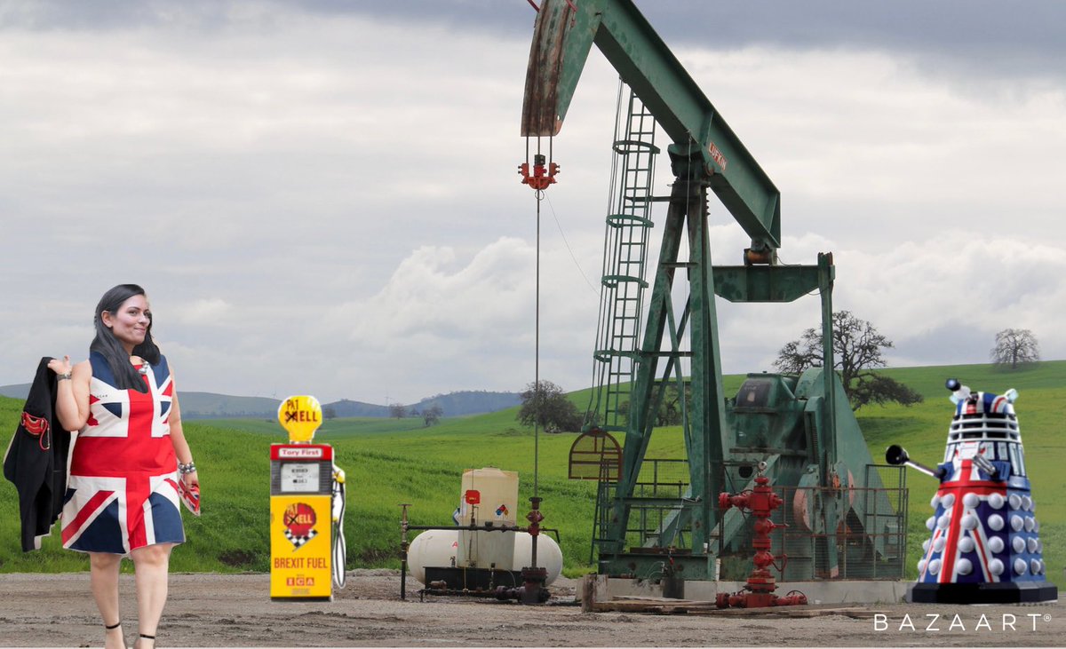 PritiNot's tweet photo. I’ve decided to drill for oil and create a high class forecourt on my estate…. It will come complete with pump and protection….. starting price for a litre will be £200 #PATELL 😏 https://t.co/9bWeOzt0nc