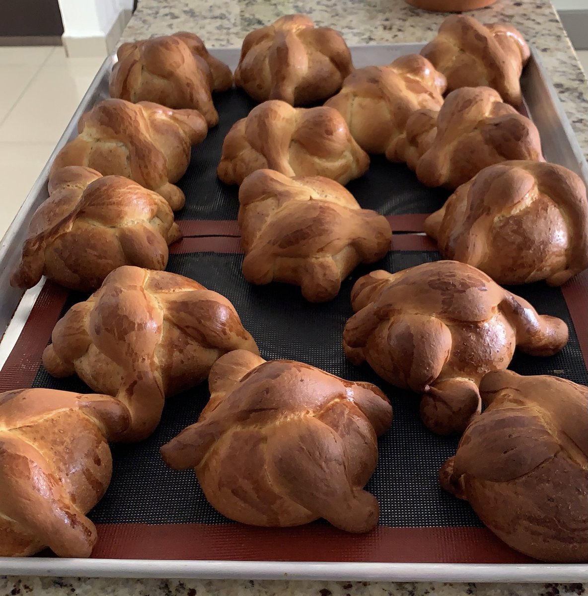 AkumalT's tweet photo. En @AkumalT ya tenemos el delicioso pan de muerto recién horneado o de postre qué tal un pastel de 3 leches https://t.co/yhXAcnItzj