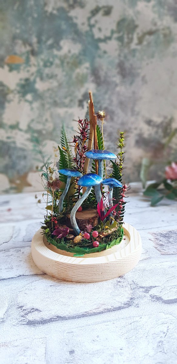 Less than half hour to go until my shop doors open! 

#maiaandthewildflower #QueenOf #botanicalresinart #SBSwinner #etsy #etsyuk #shopping