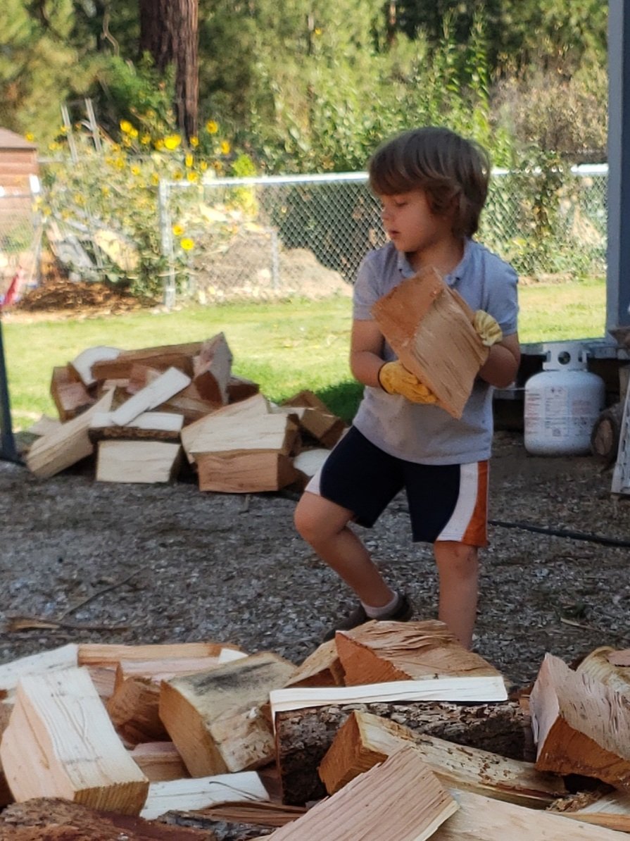 quinlama's tweet photo. Winter is coming and we're woefully unprepared to heat the house.  It is slow going with my little helper, but extremely rewarding to see him want to work hard. https://t.co/dmrHqMy8dq