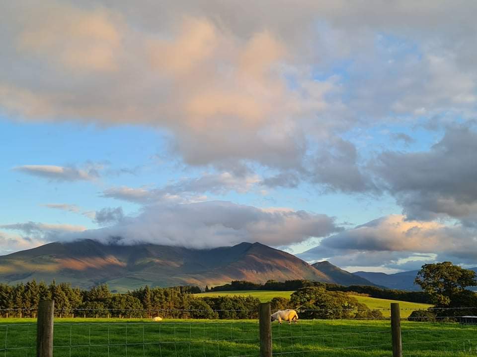 mcmannmaria's tweet photo. Fields, sky and a quiet mind....... https://t.co/1LKQtWhDgW