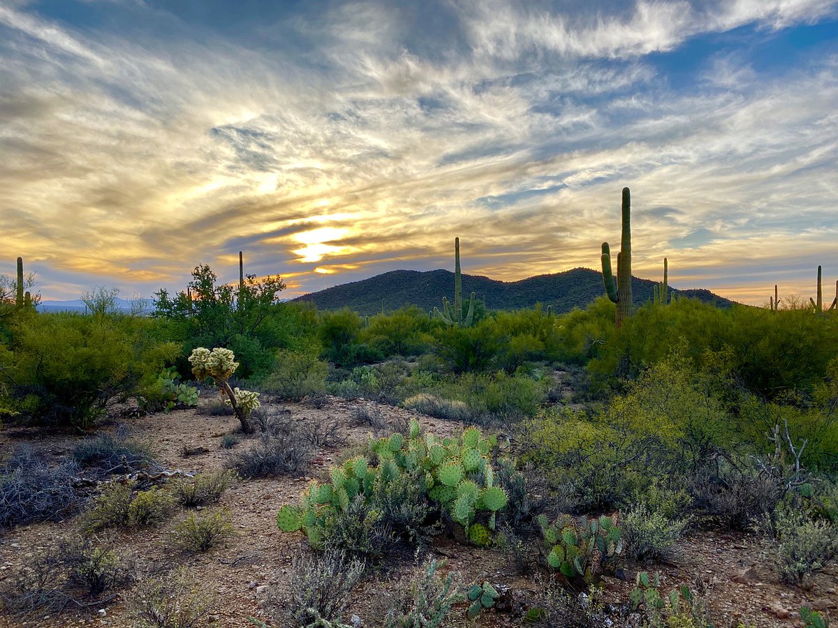 It's #NationalPublicLandsDay. Go celebrate by visiting one of Arizona's many national parks. Admission is free today!