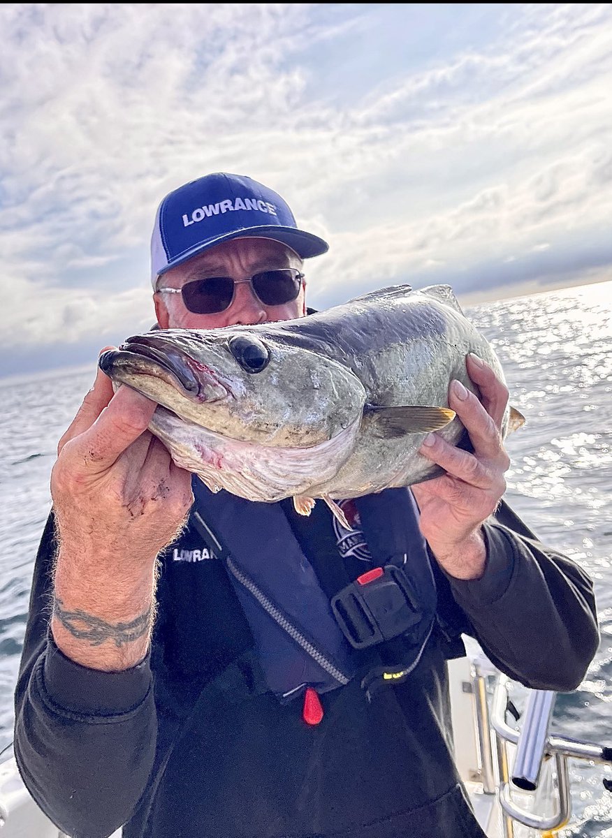 Manicfishing😎. <a href="/LowranceFishing/">Lowrance Fishing</a> #marina #dronephotography #GoPro #boatlife #sidewinders