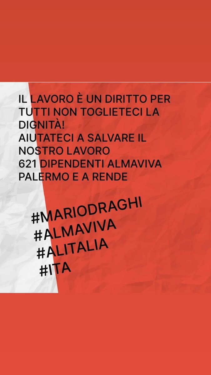 Daniela Lo Nardo tweet media