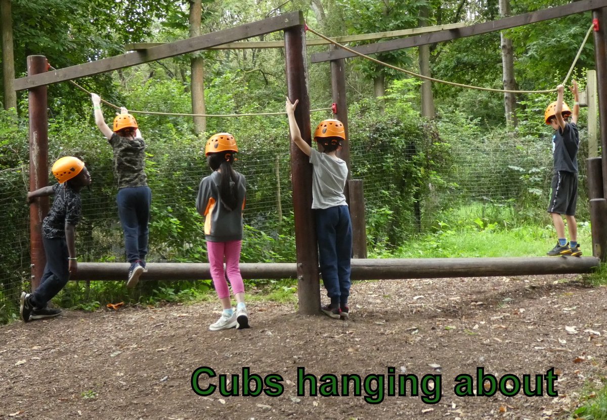 SuttonSnaggles tweet media