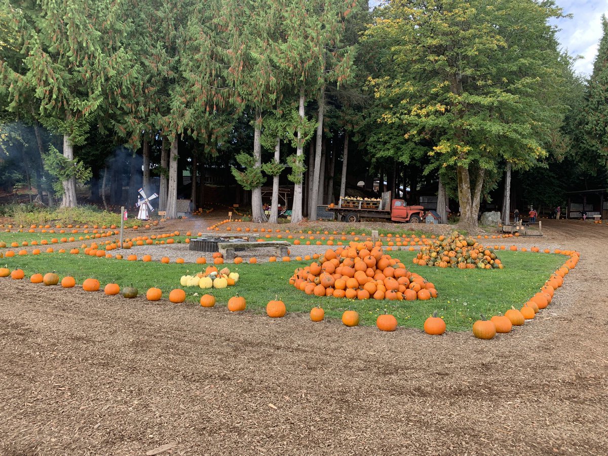 brianchow's tweet photo. Coastal Black Pumpkin Fest has started #pumpkinfest #coastalblackwinery https://t.co/3iML9LKNKI