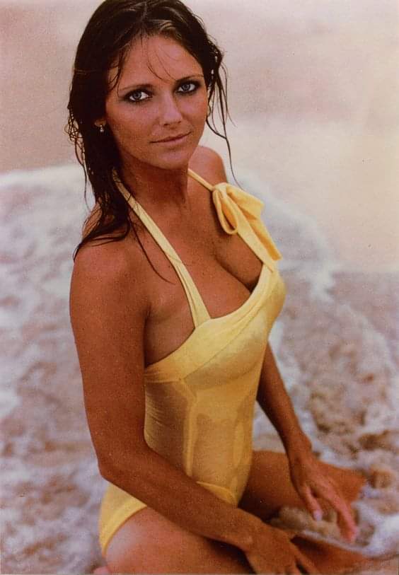 Happy Birthday goes out to the beautiful Cheryl who turns 74 today. 