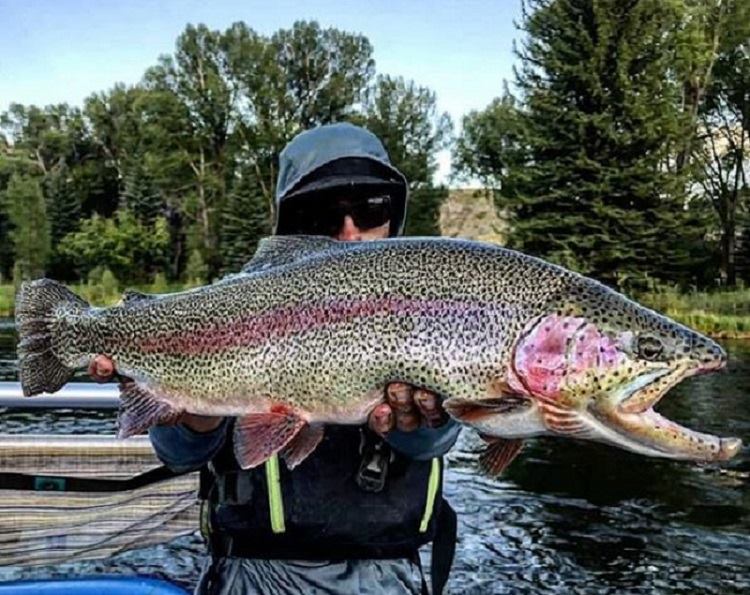 ChristianiaLodg's tweet photo. When all the fish stories are true, you are probably in Vail.
#vail #visitvail #flyfishing #hike #bike #familytravel #kidstravels #momlife #weekendgetaway #travel #fall #optoutside #vailtrip #bookdirect #hyatt #vacationrentals #vailcondos #vailrentals
π· Vail Valley Anglers https://t.co/2CZeX4bFKc