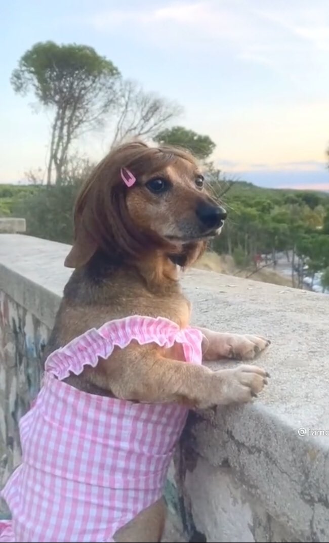 kevinuchiss's tweet image. Say you'll remember me standing in a nice dress staring at the sunset babe…